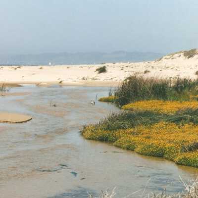 Oso Flaco Lake Color Photograph