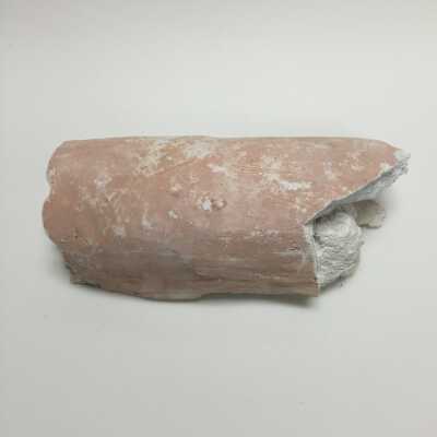 Hind quarter of sphinx, Ten Commandments