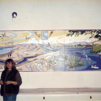 Dunes Discovery Center mural installation 11/96
