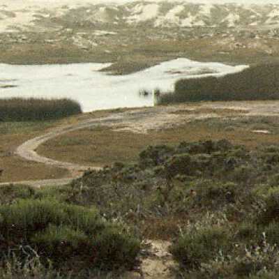 Photograph, Color - June 4 - 1987