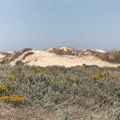 Oso Flaco Lake Color Photograph