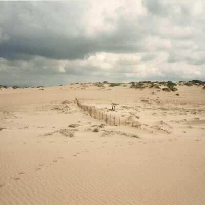 Photograph, Color - June 4 - 1987