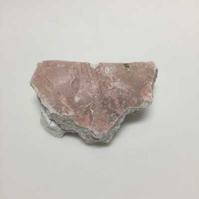 Hind quarter of sphinx, Ten Commandments