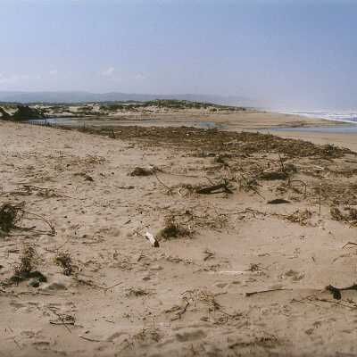 Oso Flaco Lake Color Photograph