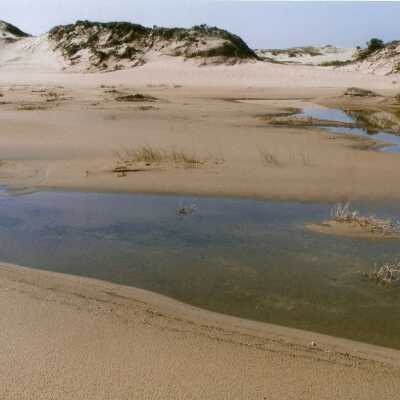 Oso Flaco Lake Color Photograph
