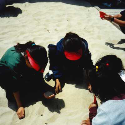 West Newlove Elementary School Field Trip to the Dunes Center and Oso Flaco Lake May 2001; 4" x 6" color photograph