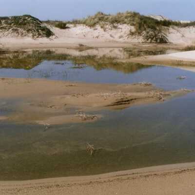 Oso Flaco Lake Color Photograph