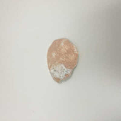 Sphinx ear fragments, Ten Commandments