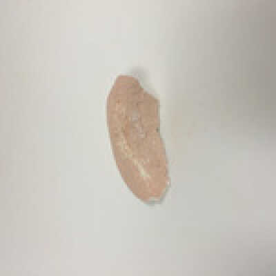 Sphinx ear fragments, Ten Commandments