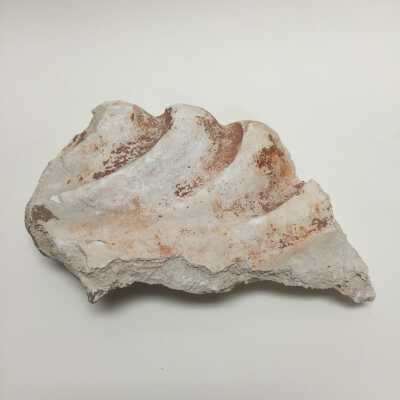 Sculpture - Misc