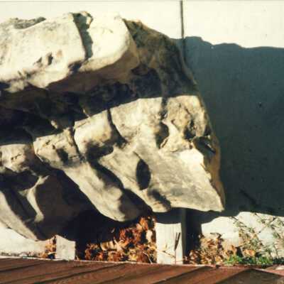 Fossilized Whale Vertebrae Moved to the Dunes Center