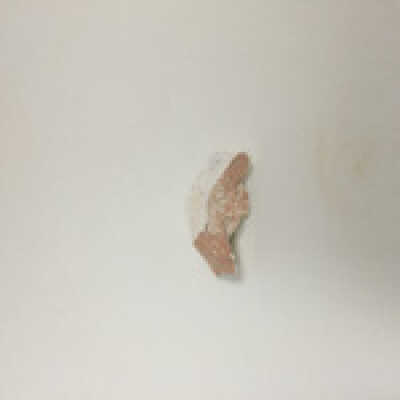 Sphinx ear fragments, Ten Commandments