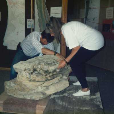 Fossilized Whale Vertebrae Moved to the Dunes Center