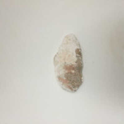 Sphinx ear fragments, Ten Commandments