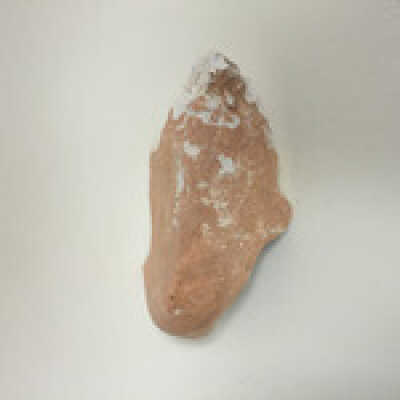 Sphinx ear fragments, Ten Commandments