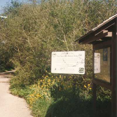 Oso Flaco Lake Color Photograph
