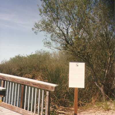 Oso Flaco Lake Color Photograph