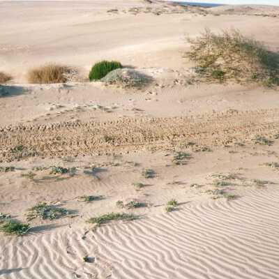 Oso Flaco Lake Color Photograph