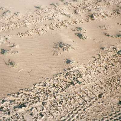 Oso Flaco Lake Color Photograph