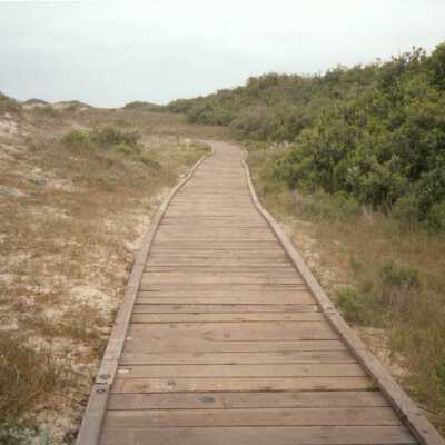 Oso Flaco Lake Color Photograph