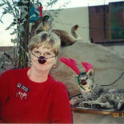 Guadalupe Christmas Parade, Rebecca Spellman and bobcat with Rudolph nose 4" x 6" color photograph