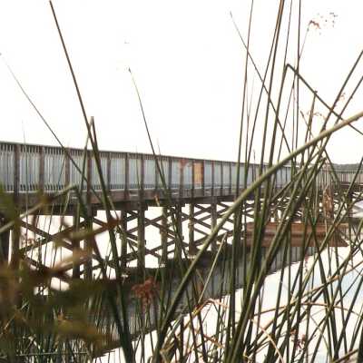 Oso Flaco Lake Color Photograph