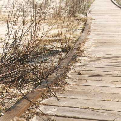 Oso Flaco Lake Color Photograph