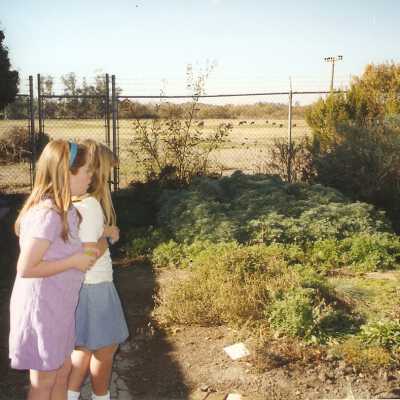 Dunes Discovery Center garden 1/99.