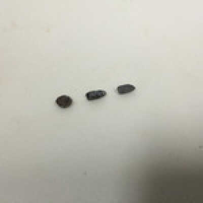 Bullet/slug, Ten Commandments