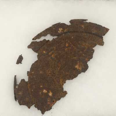 Eastman Kodak Film Canister Fragment