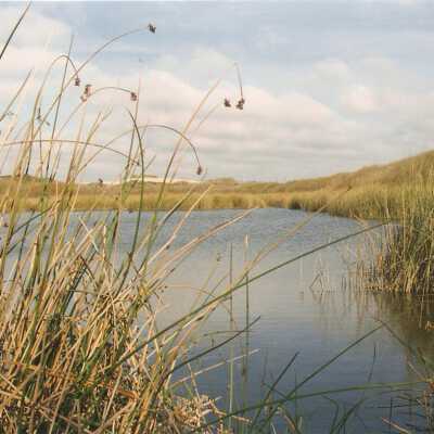Oso Flaco Lake Color Photograph