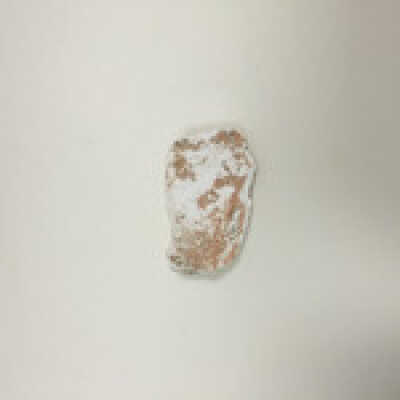 Sphinx paw, Ten Commandments