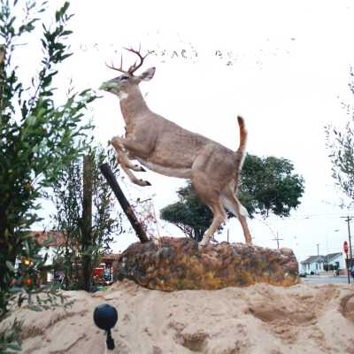 Guadalupe Christmas Parade Float 2000 4" x 6" color photograph