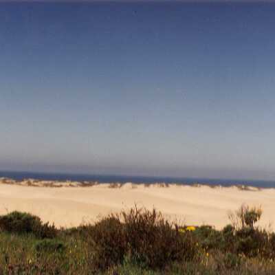 Ocean view from Coreopsis Hill