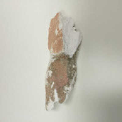 Sphinx paw, Ten Commandments