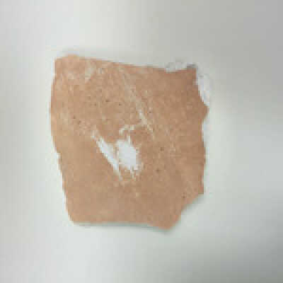 Sphinx paw, Ten Commandments