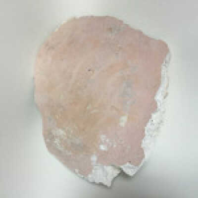 Sphinx breast fragments, Ten Commandments
