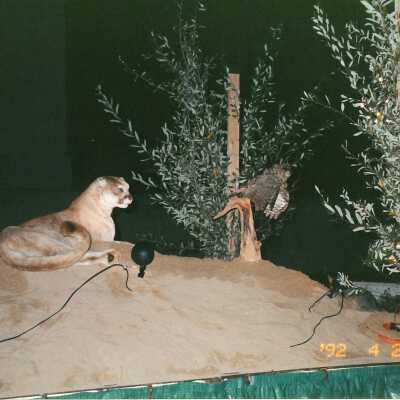 Guadalupe Christmas Parade Float 2000 4" x 6" color photograph