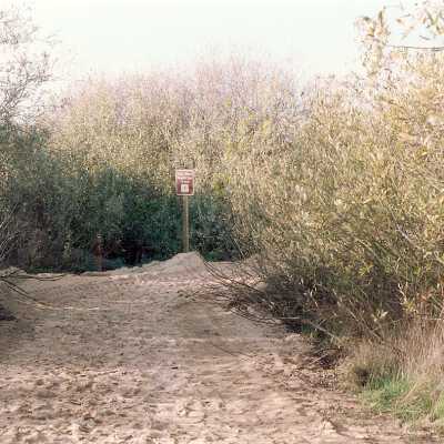 Oso Flaco Lake Color Photograph