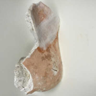Sphinx paw, Ten Commandments