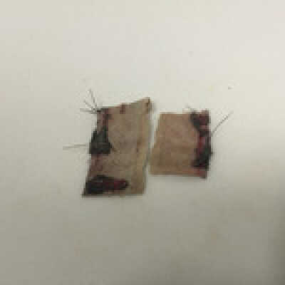 Clothing, Male Shirt Fragment