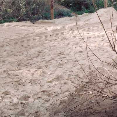 Oso Flaco Lake Color Photograph