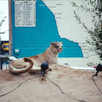 Guadalupe Christmas Parade Float 2000 4" x 6" color photograph