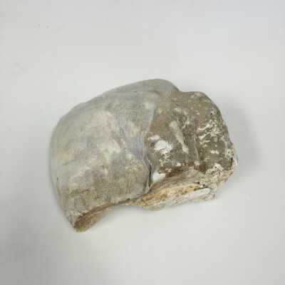 Parts of Albin's (Shpinx) body, no head attached, Ten Commandments