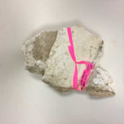 Parts of Albin's (Shpinx) body, no head attached, Ten Commandments