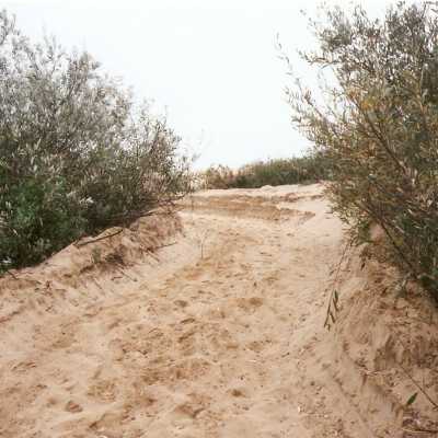 Oso Flaco Lake Color Photograph