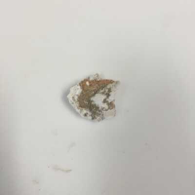 Sphinx breast fragments