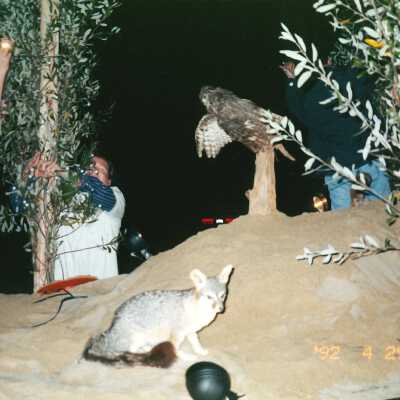 Guadalupe Christmas Parade Float 2000 4" x 6" color photograph
