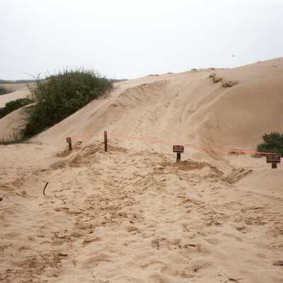 Oso Flaco Lake Color Photograph