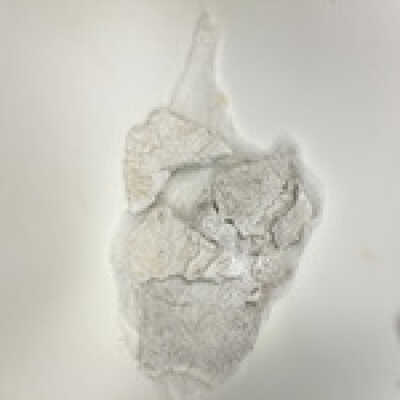 Parts of Albin's (Shpinx) body, no head attached, Ten Commandments